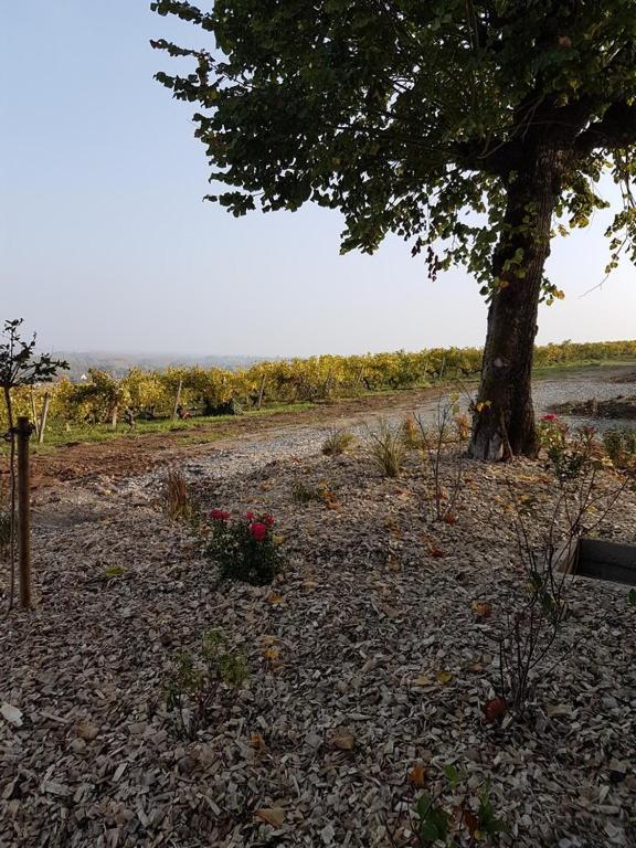 Clos Sainte Catherine Rochefort-sur-Loire エクステリア 写真